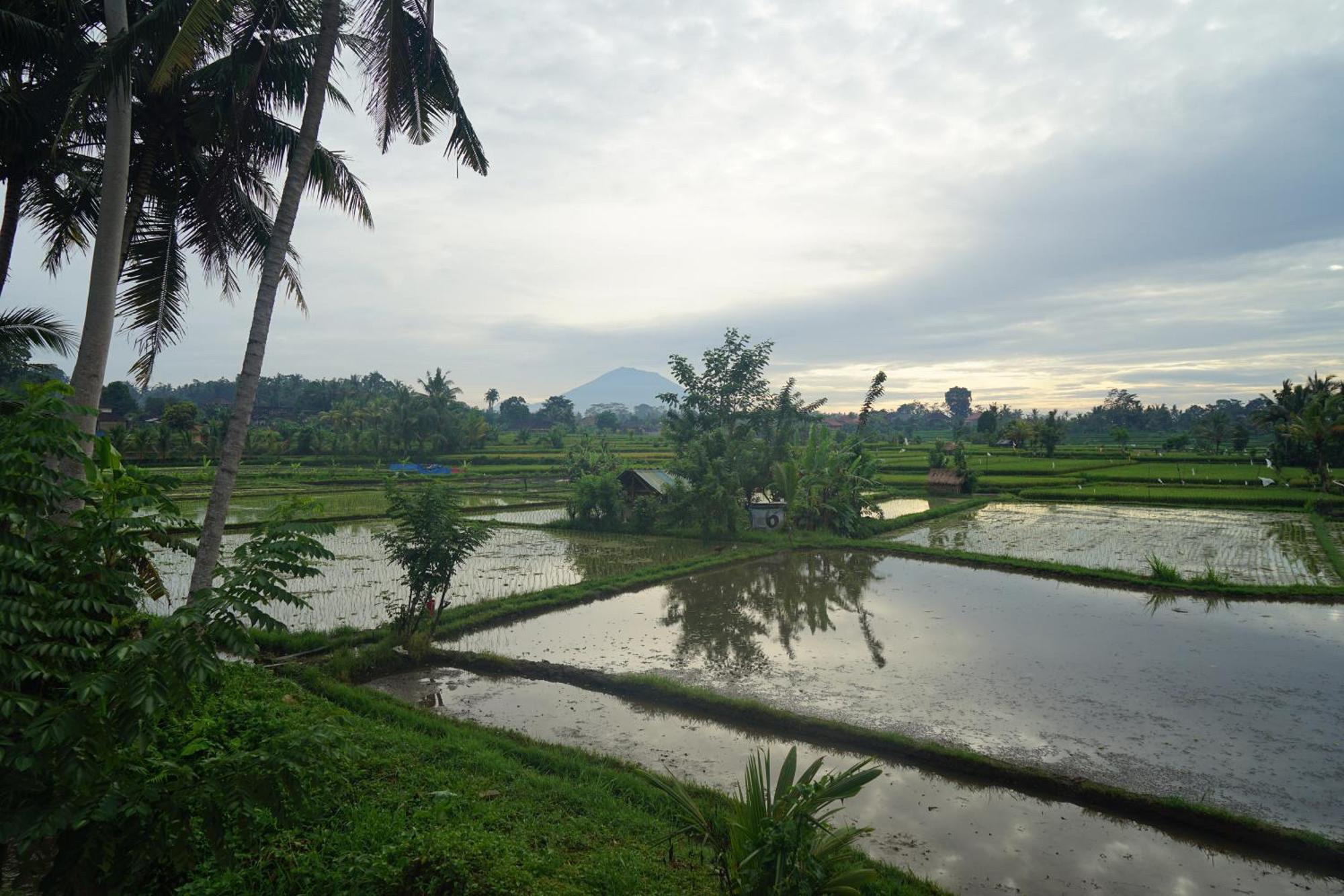 Santun Luxury Private Villas อูบุด ห้อง รูปภาพ